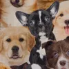 SCHÖNER LEBEN. Kissenhülle Hunde Welpen braun weiß schwarz Produktbild-Vorschau 4