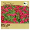 Samenliebe  Lein Samen | Roter Lein - samenfestes  Saatgut Produktbild-Vorschau 1