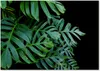 Tulup® Leinwandbild - 100x70 cm - Wandkunst - Drucke auf Produktbild-Vorschau 1