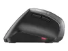 CHERRY MW 4500 - Maus - ergonomisch - Für Rechtshänder - Produktbild-Vorschau 25