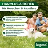 Florfliegenlarven gegen Blattläuse und Thripse - 5 Träger Produktbild-Vorschau 6