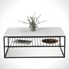 A modern white coffee table with a black metal frame, decorated with a glass vase of branches and a small dish of potpourri. Produktbild-Vorschau