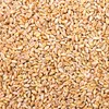 25 kg Weizen Gereinigt Hühnerfutter Geflügelfutter Produktbild-Vorschau 2