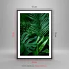 Gerahmtes Poster - Schwarzer Rahmen - Exotisch Blätter Produktbild-Vorschau 5
