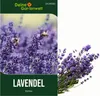 Lavendel Echter Samen - Lavandula angustifolia - Produktbild-Vorschau 1