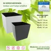 Quadratkübel Juka 19x19 weiss Produktbild-Vorschau 4