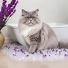 8x 3,8L Mersjo Lettiera per gatti al Silicio Lavanda – Anteprima dell’immagine prodotto 7