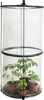 Pop-Up Folien Gewächshaus für Tomaten - 110 x 49 cm - Produktbild-Vorschau 1