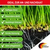 ONBEST Rasensamen | 1 kg | inklusive Sommerblumenmischung | Produktbild-Vorschau 2