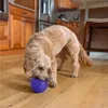 Gioco interattivo per cani Purple Anteprima dell’immagine prodotto 5