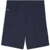 Puma Teamgoal Shorts Herren - Marine Produktbild-Vorschau 2