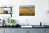 MuchoWow® Poster Toskana - Rosen - Hügel 60x40 cm - Produktbild-Vorschau 3