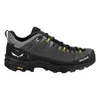 Salewa Herren Alp Trainer 2 GTX Wanderhalbschuh onyx/black Produktbild-Vorschau 5