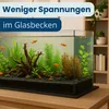 Aquarium Unterlage Aquarium Zubehör Terrarium Produktbild-Vorschau 6