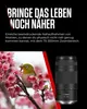 Canon RF 75-300 mm F4-5.6, Objektiv se zoomem, 13/9, 75-300 Náhled obrázku produktu 4