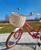 WikliBOX - Cestino in vimini per bicicletta ecru con Anteprima dell’immagine prodotto 4