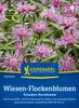 Artikelbild 2 von 'Wiesen-Flockenblumen Stauden-Kornblume' aus der Kategorie Blumensamen Produktbild-Vorschau