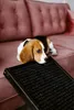 Hunderampe Hundetreppe Hundeautorampe Kofferraumrampe Produktbild-Vorschau 8