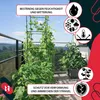 KOTARBAU® Modulare Rankhilfe 21x21x120cm Quadratisch 2 Produktbild-Vorschau 8