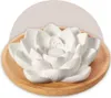 Primavera Aroma Duftstein Lotusblüte Produktbild-Vorschau 4