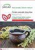 SAFLAX - Čínský pelyněk Qing Hao - Artemisia annua - 250 Náhled obrázku produktu 1