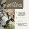 PROVICELL RelaxVital Pulver 60 g | Beruhigungsmittel für Produktbild-Vorschau 2