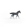 schleich HORSE CLUB 13944, 5 rok/roky, Horses, Šedá Náhled obrázku produktu 6