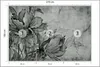 Muralo Selbstklebende Fototapete BLUMEN Pflanzen Beton Produktbild-Vorschau 2