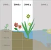 3er Set - Juncus Spiralis - Korkenzieherbinse - Liebeslocke Produktbild-Vorschau 4