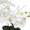Umělé orchideje v květináči Phalaenopsis White Flower Náhled obrázku produktu 7