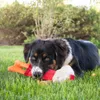 Hozies Hundespielzeug Sammy Stripes, Größe: S Produktbild-Vorschau 4