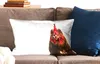 MuchoWow® Zierkissen Sofakissen Wohnzimmer Dekokissen 60x40 Produktbild-Vorschau 2