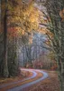 raxxa Premium-Puzzle "Heimweg", 1000 Teile Produktbild-Vorschau 2