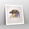 Poster - Poster ohne Rahmen - Adler Vogel Feder - 60x60 cm Produktbild-Vorschau 7