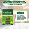 SC-Nematoden gegen Maulwurfsgrillen und Wiesenschnaken - 10 Produktbild-Vorschau 7