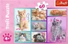 Trefl Puzzle 60 Dolci Gattini 17373 Anteprima dell’immagine prodotto 8