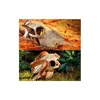 Exo Terra Versteck Buffalo Skull Produktbild-Vorschau 10