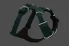 Ruffwear Front Range Geschirr River Rock Green S Produktbild-Vorschau 15
