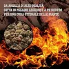 LERAVA® Argile expansée pour plantes  – 3 L – Granulés Voir les images du produit 2