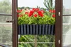 Vaso da fiori Prosperplast | Boardee Fencycase W | Anteprima dell’immagine prodotto 2