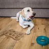 Relaxdays Intelligenzspielzeug für Hunde, Leckerli Produktbild-Vorschau 5
