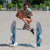 HKM Sports Equipment GmbH - Hobby Horse - Mini - 2800, Productafbeelding-voorbeeld 4