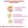 Royal Canin British Shorthair Kitten, Kocięta, Brytyjski Podgląd zdjęcia produktu 3