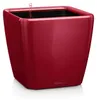 LECHUZA plantpot QUADRO Premium LS 21, rood, hoogglans | Productafbeelding-voorbeeld 1