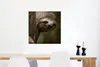 MuchoWow® Poster Ein Faultier in den Bäumen schaut in die Produktbild-Vorschau 5