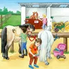Wieso? Weshalb? Warum? Ein Tag auf dem Reiterhof Produktbild-Vorschau 5
