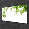 Acrylglasbilder 100x50 Wandbild Druck Zweige Blätter Produktbild-Vorschau 2