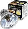 Repti-Zoo Mini infračervená lampa 40W - mini halogenová Náhled obrázku produktu 1
