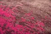 A close-up, textured view of a floor cushion with an abstract pattern. Produktbild-Vorschau