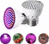 Two LED grow lights are shown, with four circular images below depicting their use. Anteprima dell’immagine prodotto